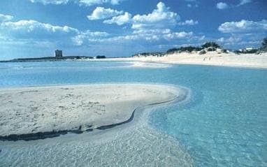 La secca del Pisello (Puglia)