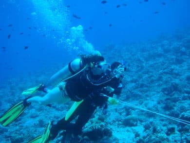 Blue Corner (Palau)