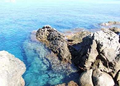 Immersioni a SCILLA (Calabria)