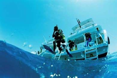 Tower Reef (Egitto)