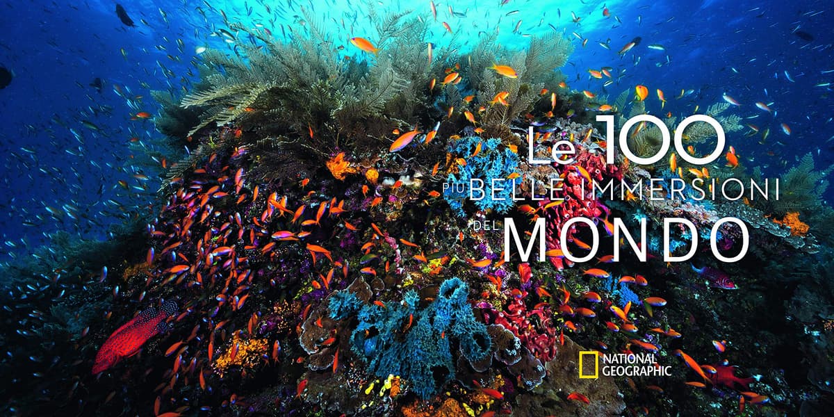 Le 100 più belle immersioni del mondo