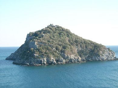 Isola di Bergeggi (Liguria)